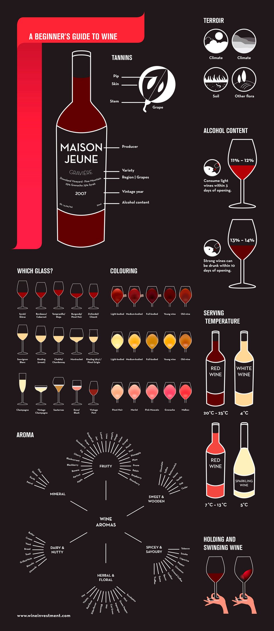 wine infographic