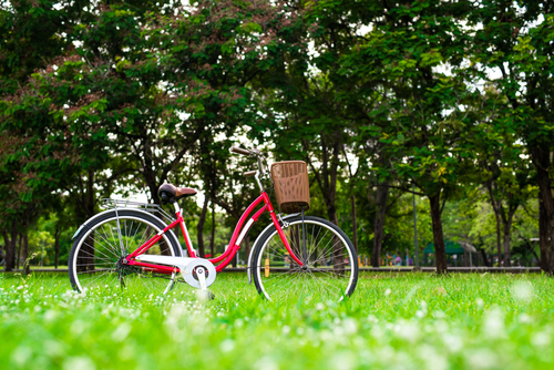 Workout and Green Transportation, Charter Bus Houston