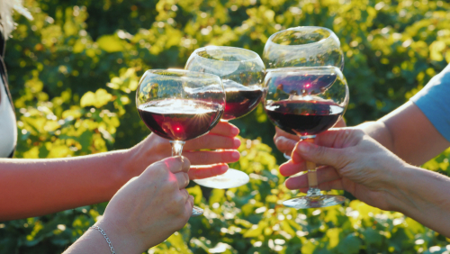 Wine Tasting Tour, Motorcoach Wine Tour