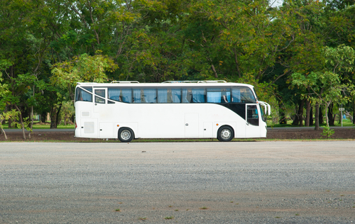 charter company, Houston Party Bus