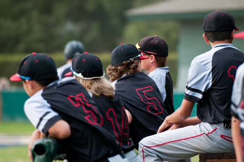 travel baseball team