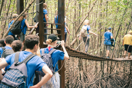 School Trips, charter bus Houston